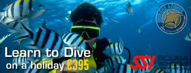 want to learn to dive